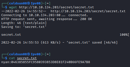 secret.txt